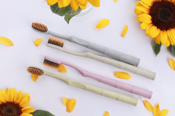 bizsplus-ra-mat-san-pham-ban-chai-moi-bizs-17